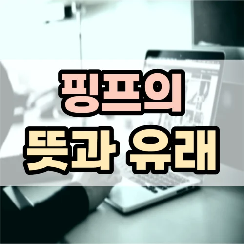 PingP 의미 및 원본 썸네일 이미지