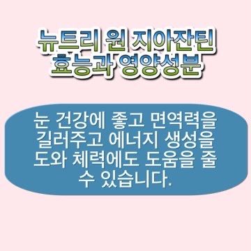 뉴트리-원-루테인-지아잔틴-효능-성분