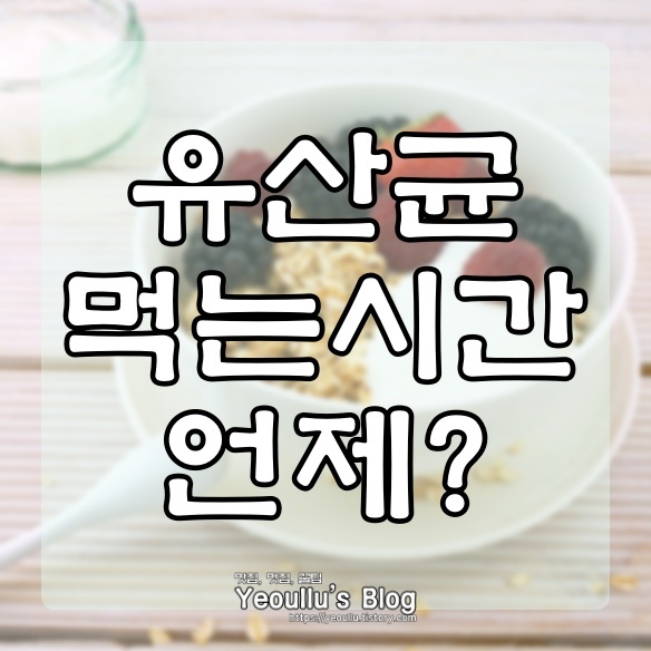  유산균 먹는시간 언제가 가장 좋을까?