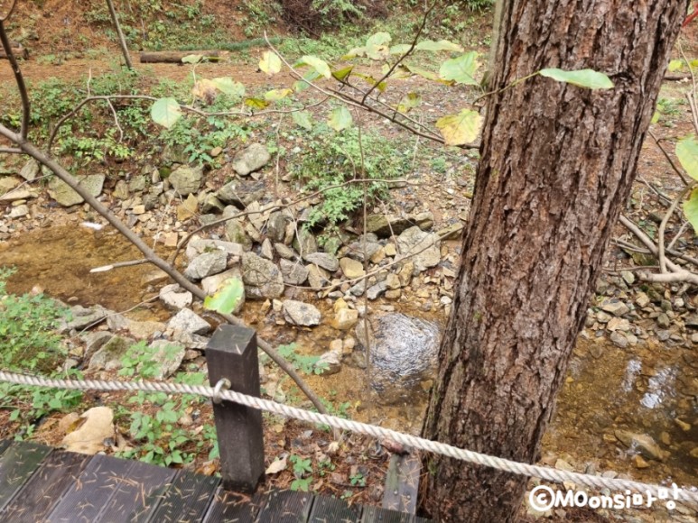 하늘그린캠프, 숲속의 14