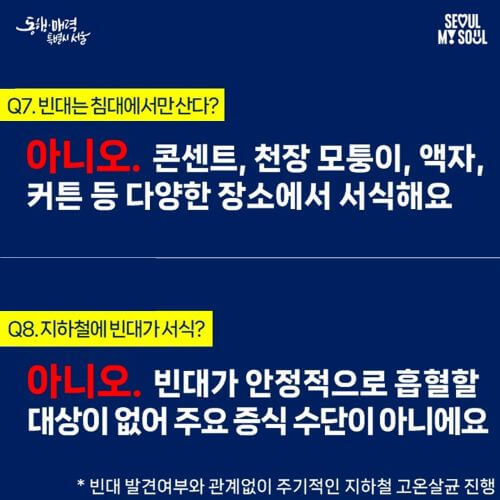 빈대 팩트 체크 전문가 8문 8답