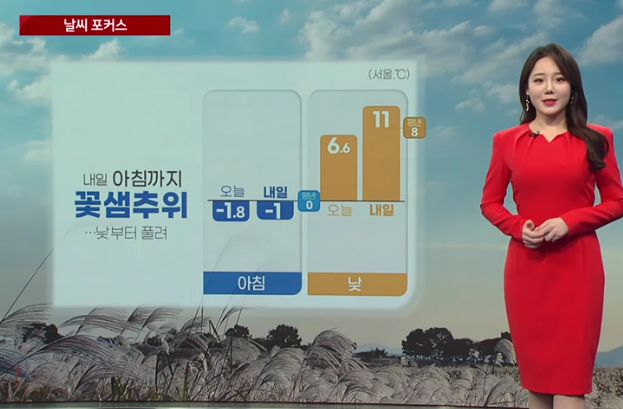 날씨 주간예보 전국 날씨 주간예보 1