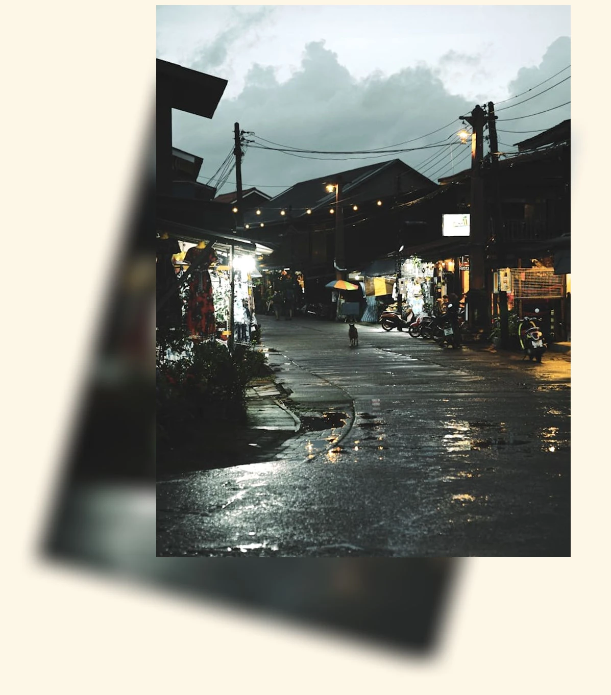 태국 야시장_3_subsection