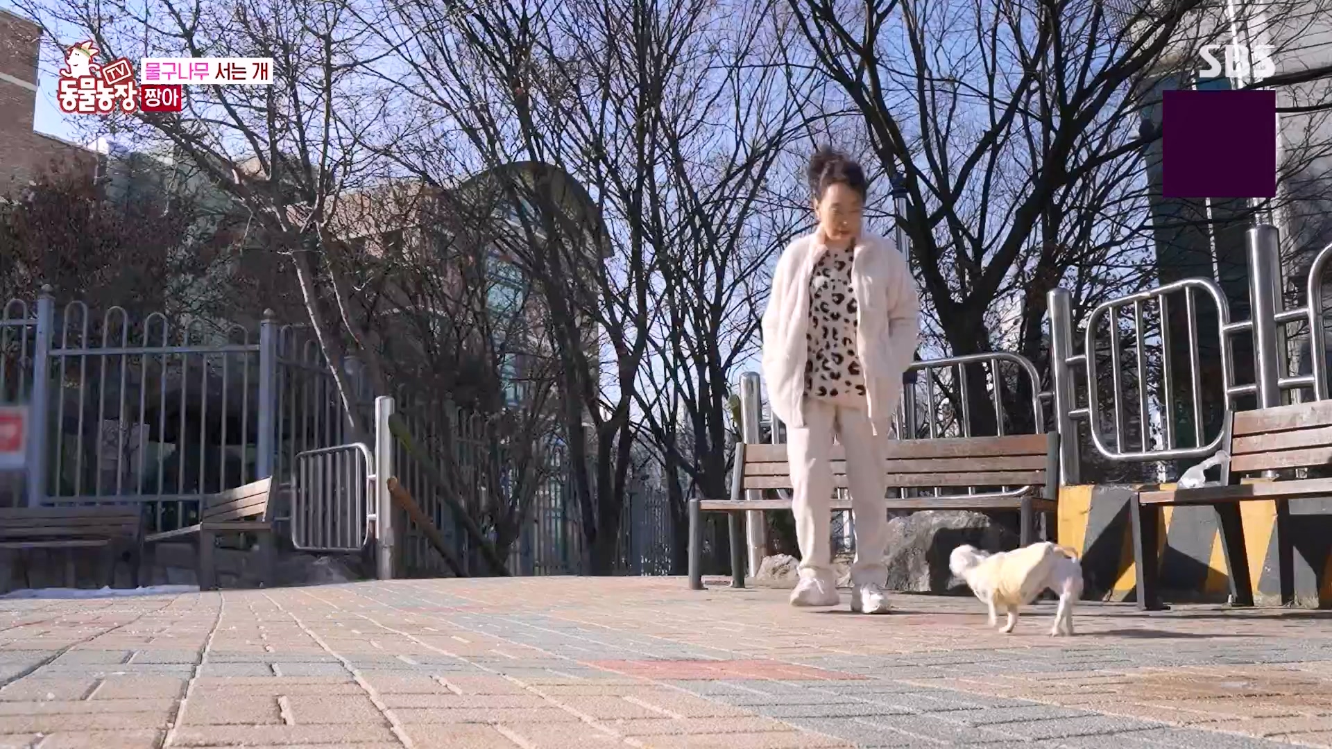 TV 동물농장.E1157.240204p-NEXT.mp4_20240204_172411.650.jpg