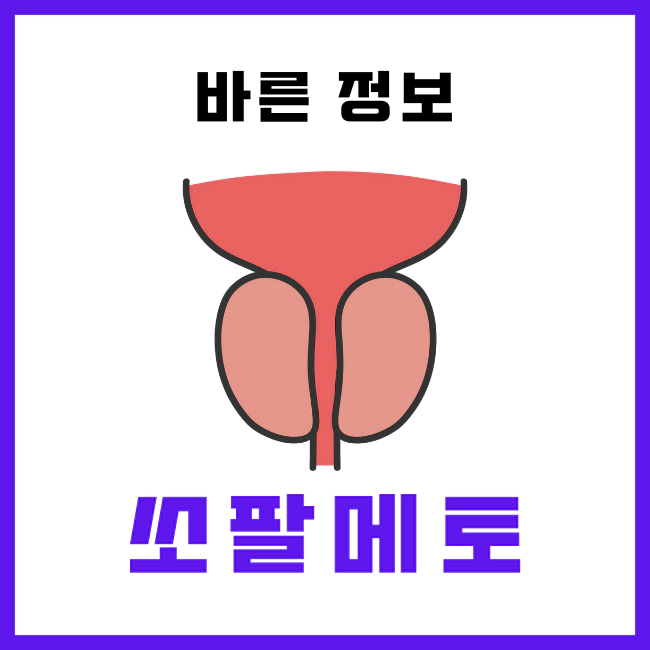 쏘팔메토