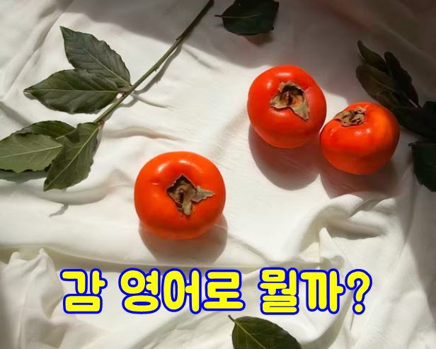 먹는 과일 감 영어로 뭘까? 먹는 과일 감 영어로 뭘까?