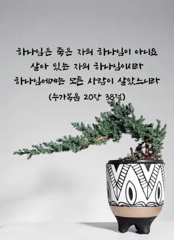 권위 전쟁 누가복음 20장 큐티 매일성경_17
