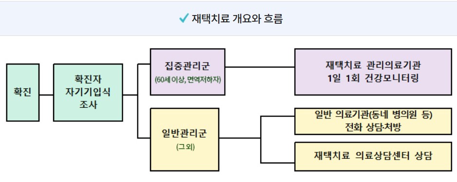  코로나 검사가 양성으로 나오면 어떻게 하나요?