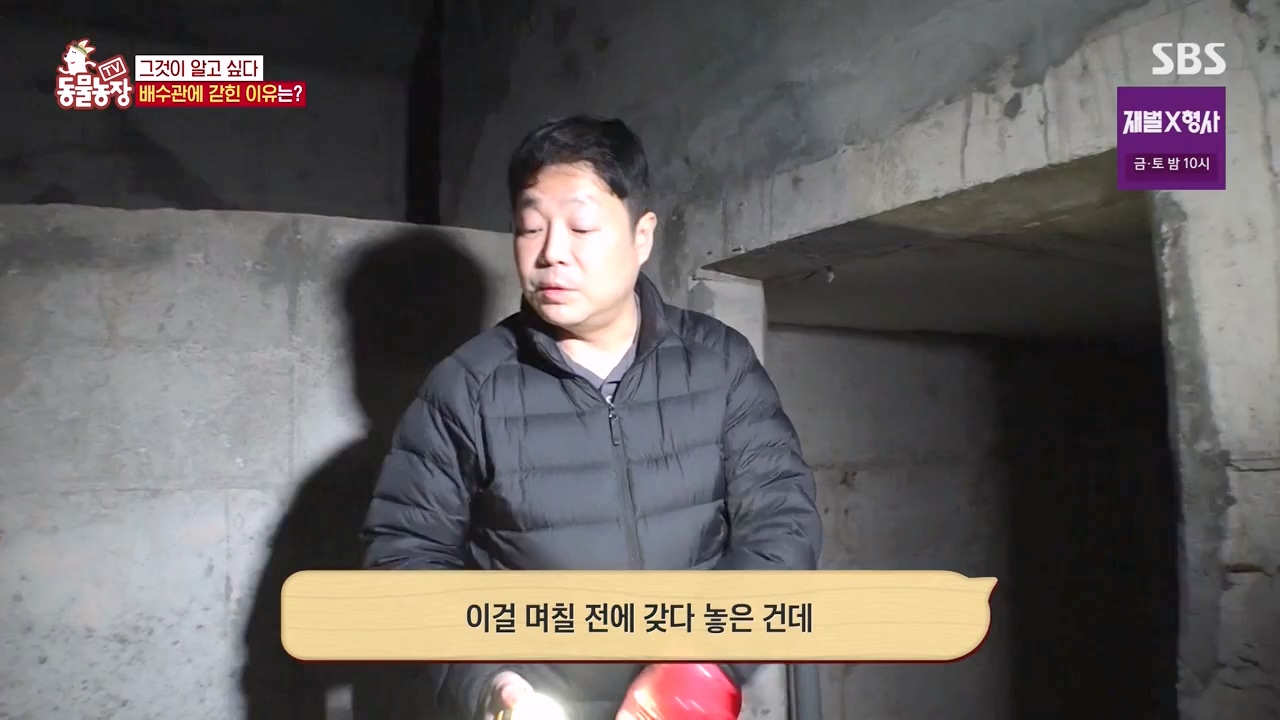 TV 동물농장.E1156.240129p-NEXT.mp4_20240128_191743.676.jpg