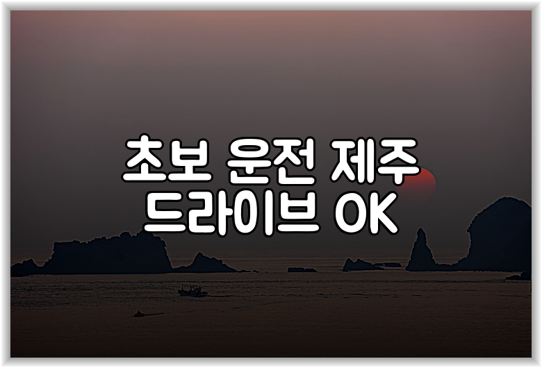 초보 운전 제주 드라이브 OK