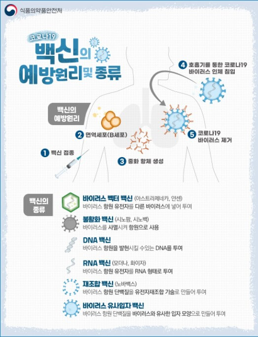 백신의 적용원리와 종류 사진