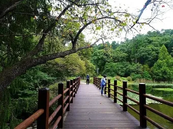 숨겨진 힐링 명소로 떠나는 포천 광릉수목원 완전 정복 가이드북 2025_14
