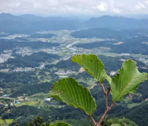 진악산