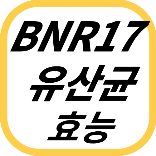 bnr17 유산균(비에날씬 유산균) 효능 알아보기