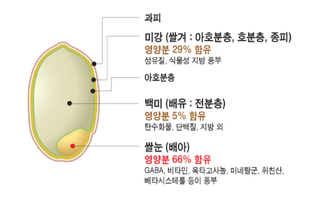 쌀 부위별 영양성분