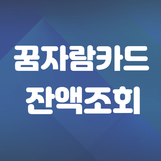  꿈자람카드 잔액조회 30초 완성