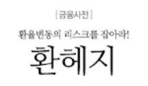  환헤지 방법 전략 정리하기