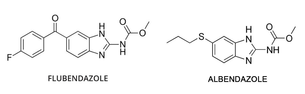 플루벤다졸 알벤다졸 차이점