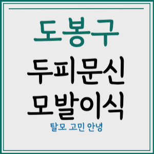 서울 도봉구 두피문신