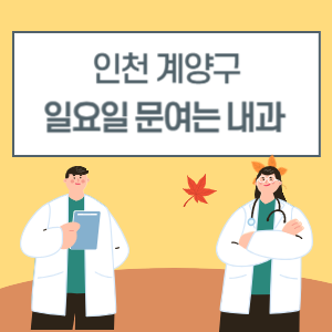 인천 계양구 일요일 내과 진료 병원 리스트