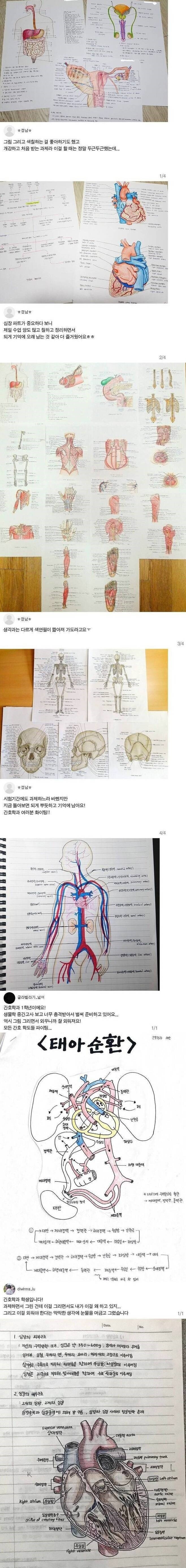  간호학과 필기 클라쓰