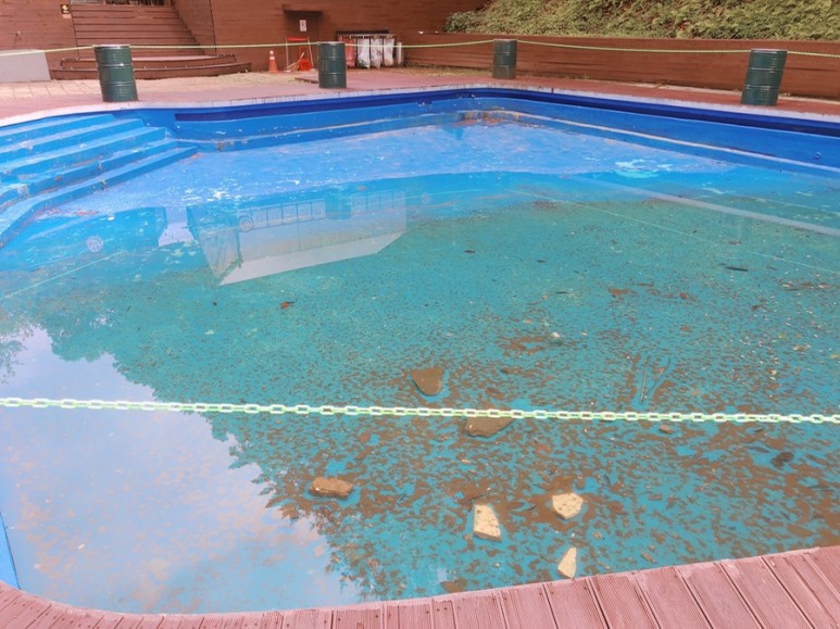 글램핑장 용인 양지리조트 보고 [아이와 갈만한 곳] 반려동물 동반 32