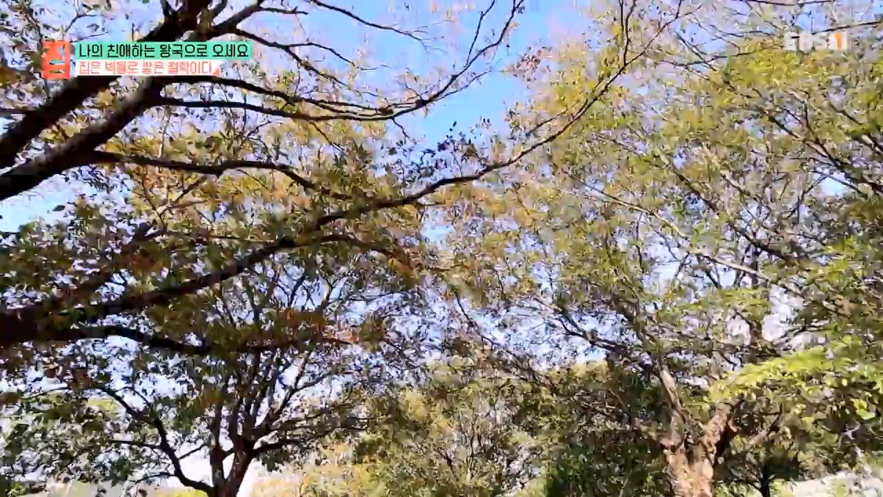 TV - 전 국민의 평생학교 EBS나의 친애하는 왕국으로 오세요.mp4_20240117_195036.320.jpg