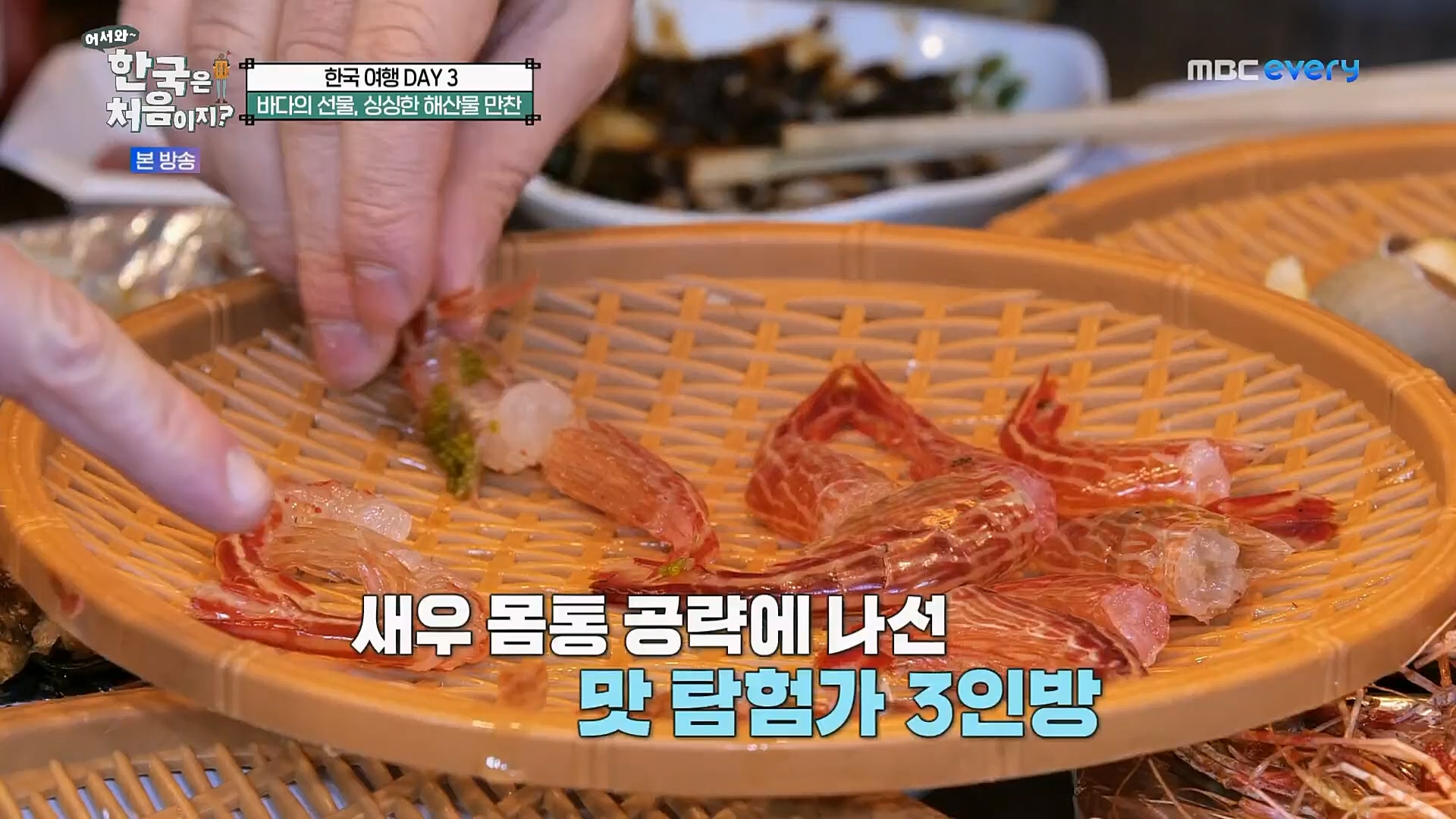 어서와~ 한국은 처음이지.E283.230216p.H264-F1RST.mp4_20230218_181115.695.jpg