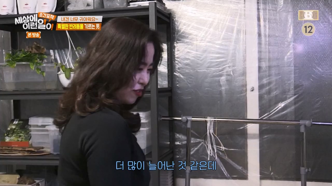순간포착 세상에 이런일이.E1269.240317p-NEXT.mp4_20240317_163615.204.jpg