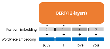 버트 BERT 이미지