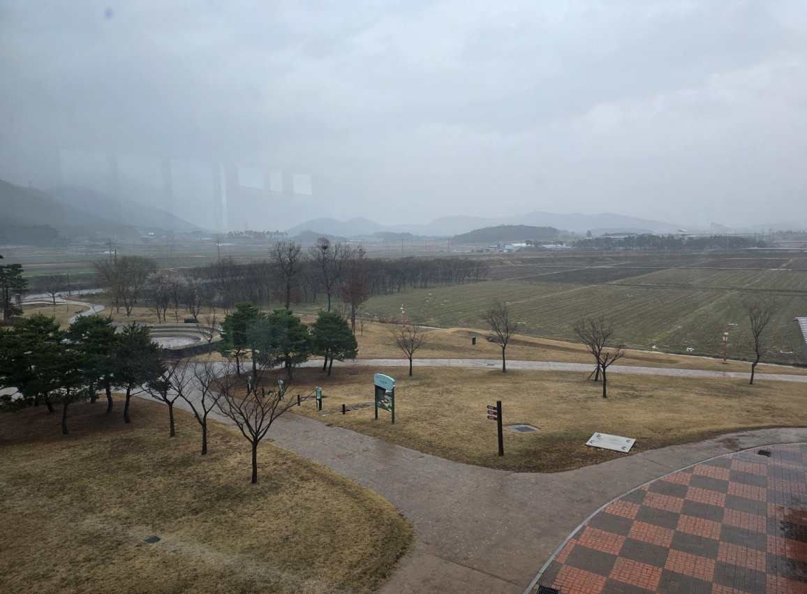 벚꽃축제 중인 고창 on 7