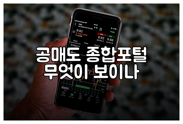 공매도 종합포털 무엇이 보이나