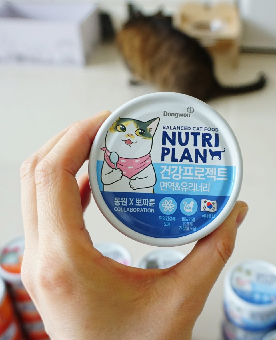 구냥이 고양이캔으로 네 건강관리해요 2