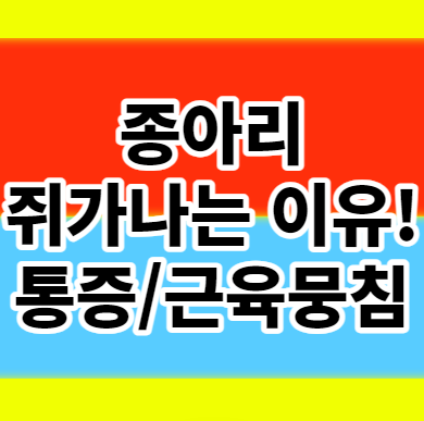  종아리 쥐나는 이유 통증 근육뭉침 알아보기
