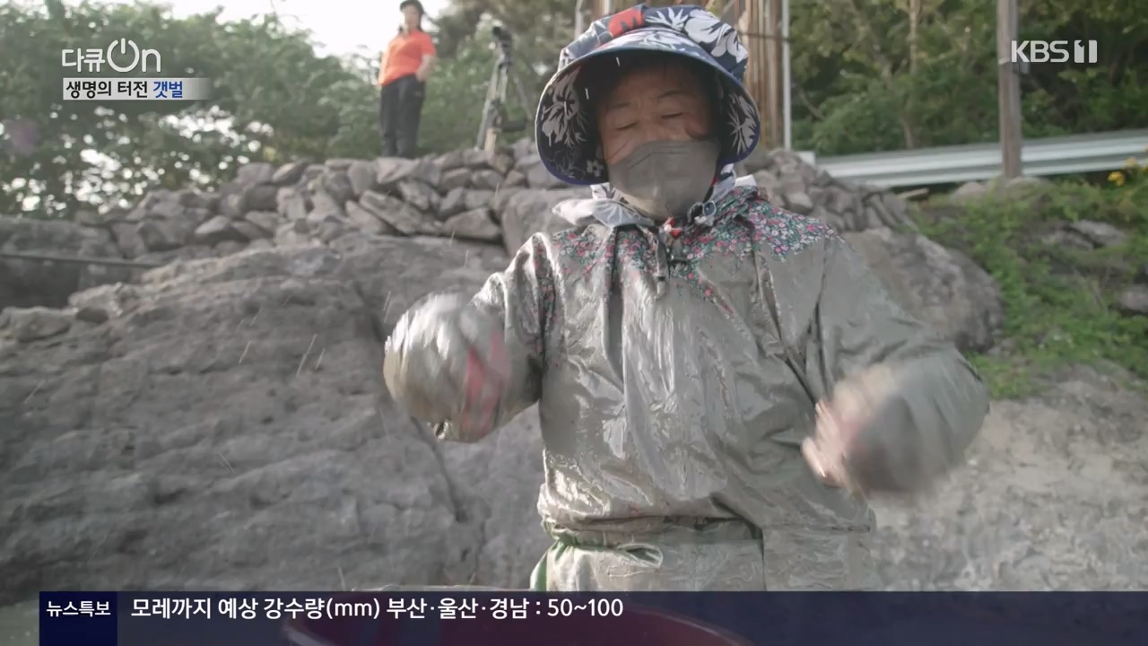 다큐 온.E206.230723p-NEXT.mp4_20230724_214216.484.jpg