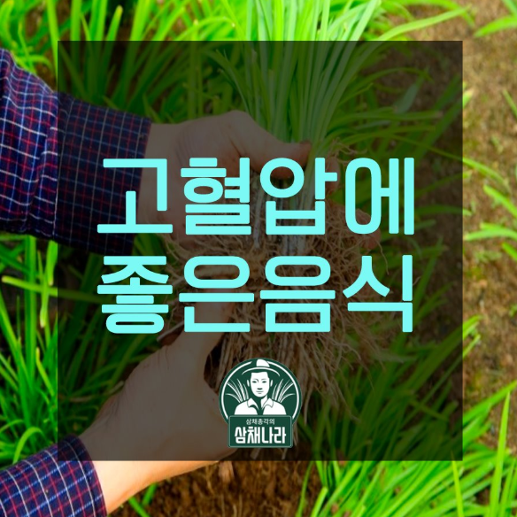  혈압에좋은음식 편하게 살아요