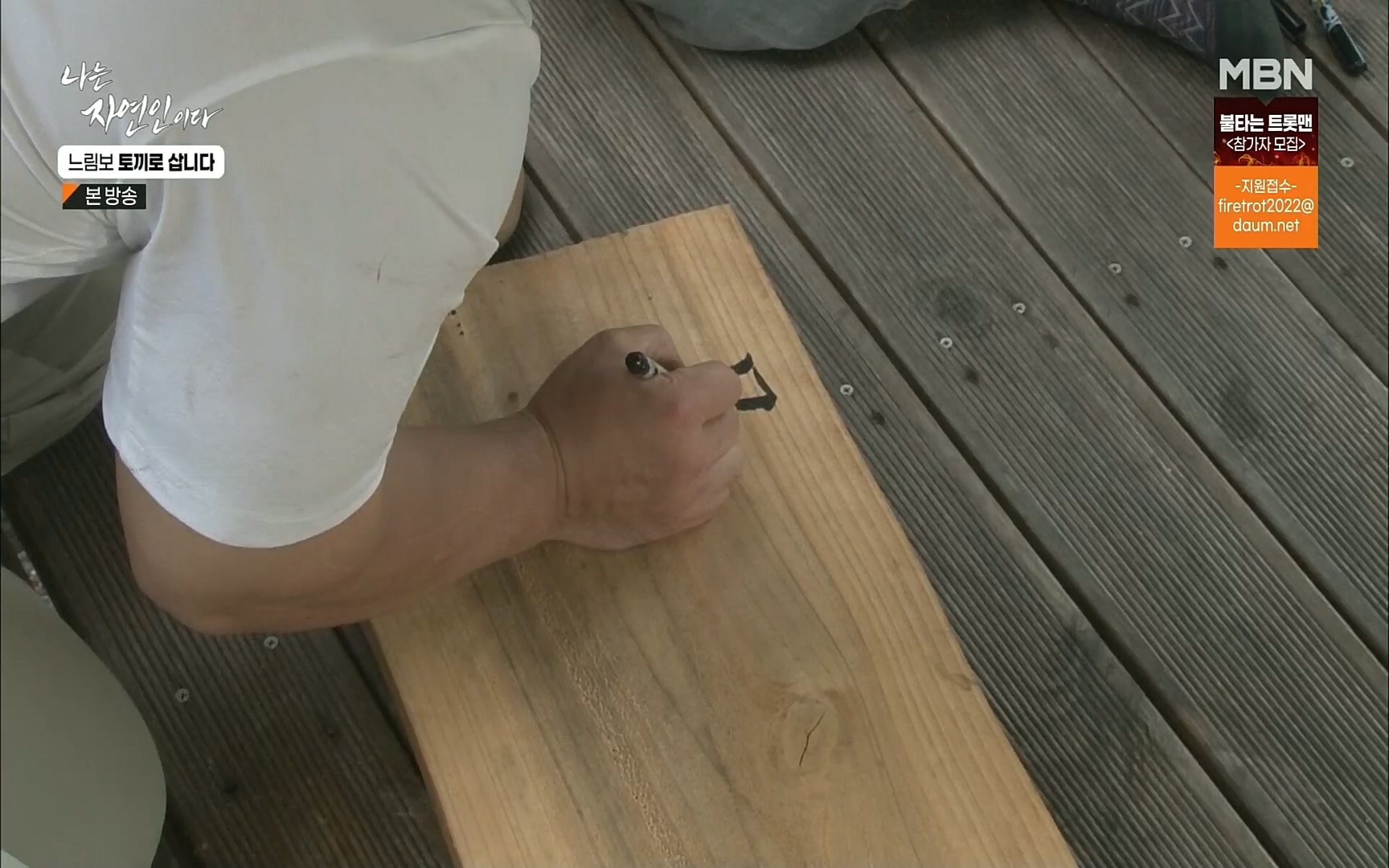 나는 자연인이다.E514.220810p.H264-F1RST.mp4_20220811_202615.899.jpg