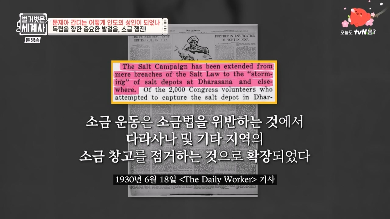 벌거벗은 세계사.E92.230329p-NEXT.mp4_20230425_203117.143.jpg