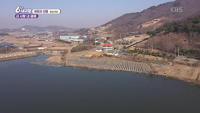 [7743회] 6시 내고향 - KBS산으로 간 굴비 - 충북 옥천 [60초를 잡아라] 부산부전시장 (부산광역시) [셰프의 선물] 내 사랑 내 곁에 (충남 아산) [섬섬옥수] 최고의 선물, 금오도 (전남 여수).ts_20230313_192433.975.jpg