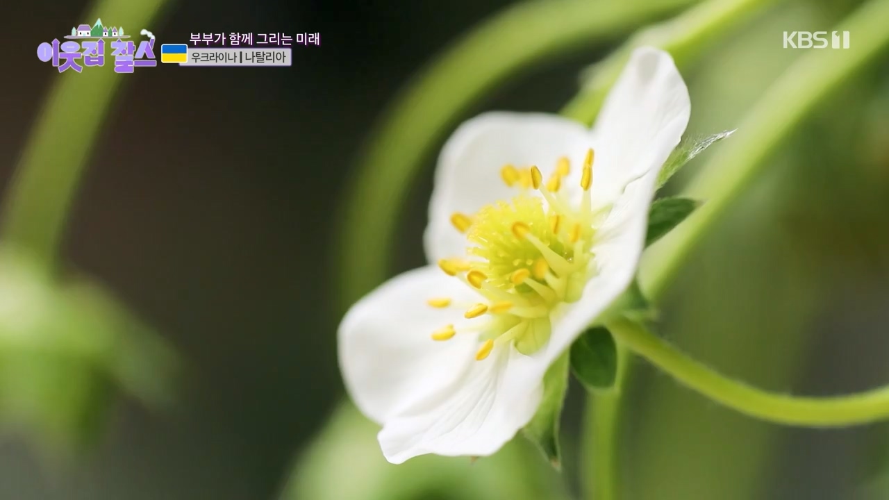 이웃집 찰스.E396.230726p-NEXT.mp4_20230726_210954.055.jpg