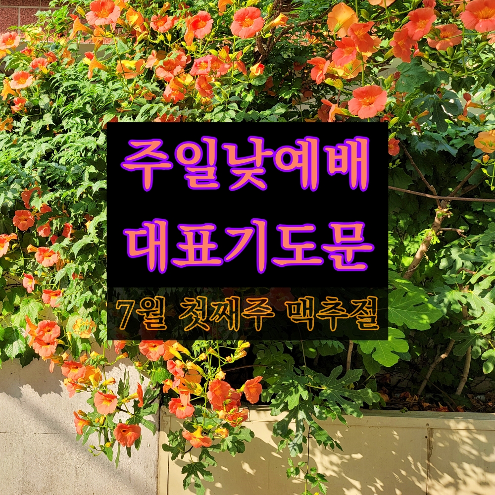  주일낮예배 대표기도문 7월 첫째주 맥추절