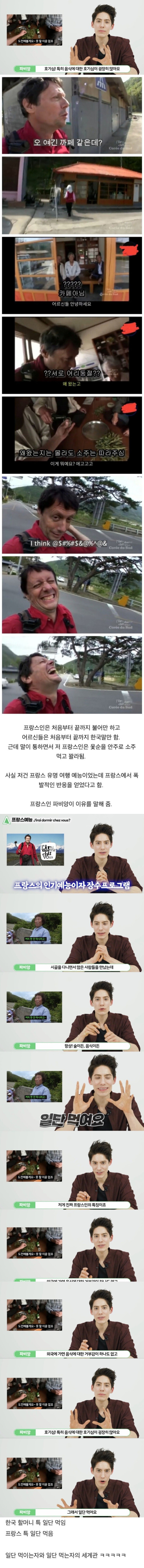  프랑스에서 인기 많았던 유튜브 동영상.JPG