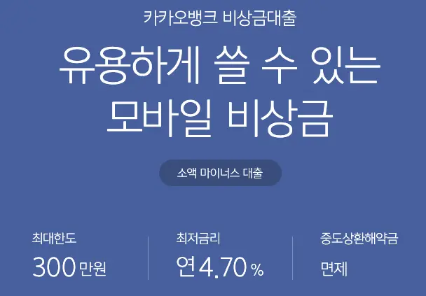 카카오뱅크 비상금대출 개요