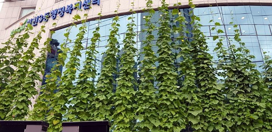 kbs1tv 다큐온 KBS1TV // 회천3동 생태그늘막 4