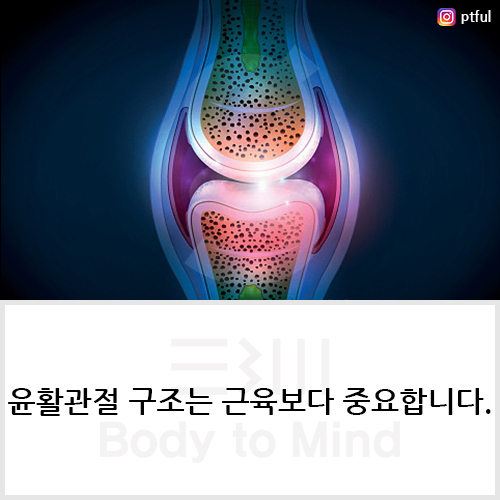  윤활관절 구조(structure of synovial joint)는 근육(muscle)보다 중요합니다.