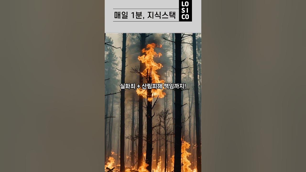 산불로 나무가 타는 장면