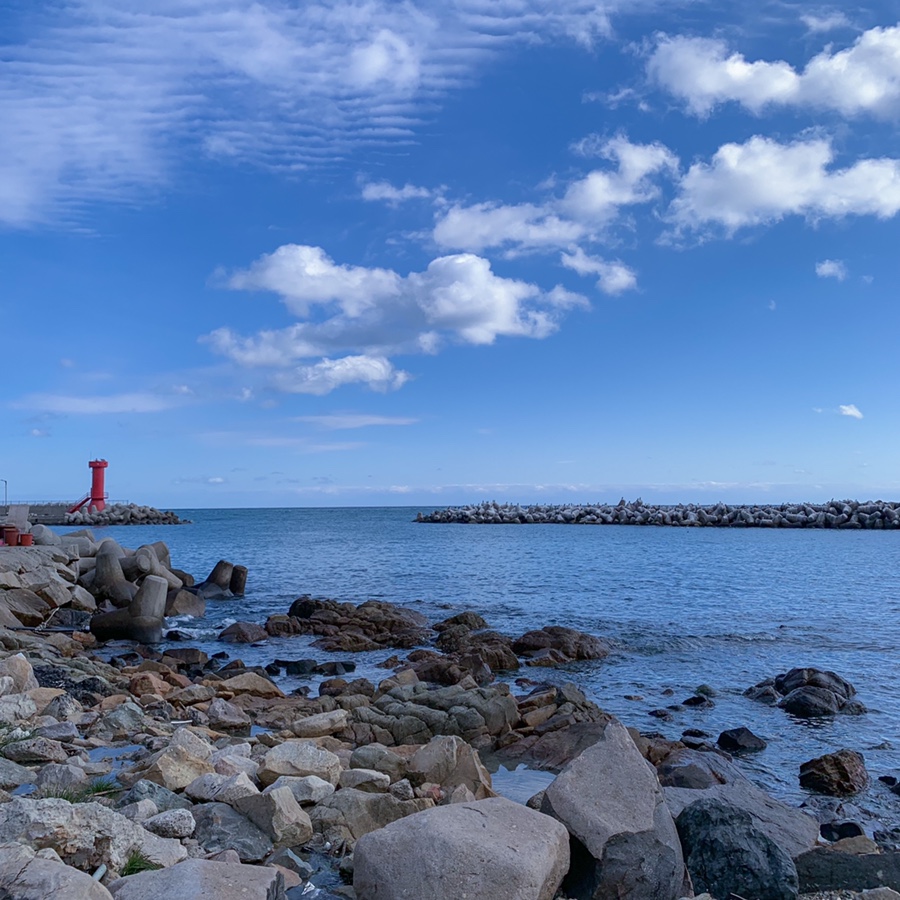 주차 꿀팁 (Hint : 해파랑길 2코스) 부산 여행 필수 코스! 해동용궁사 10