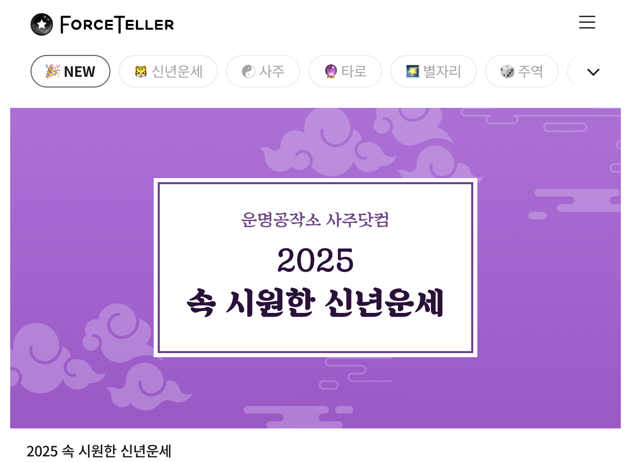 2025 신년운세