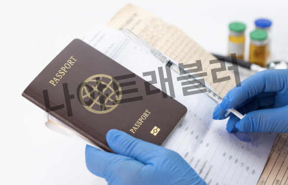 인도네시아 비자발급 e비자 신청하는 법