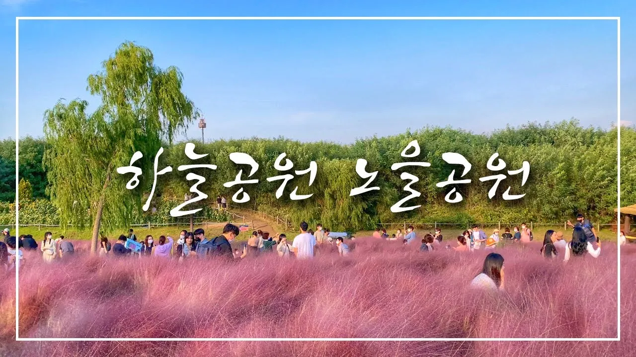 하늘공원 메타세콰이어길 산책 코스_4